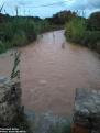 Torrent Arta 5