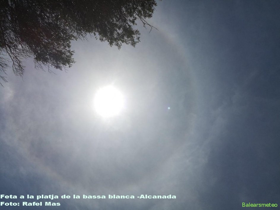 Des de la platja de la bassa blanca - Alcanada