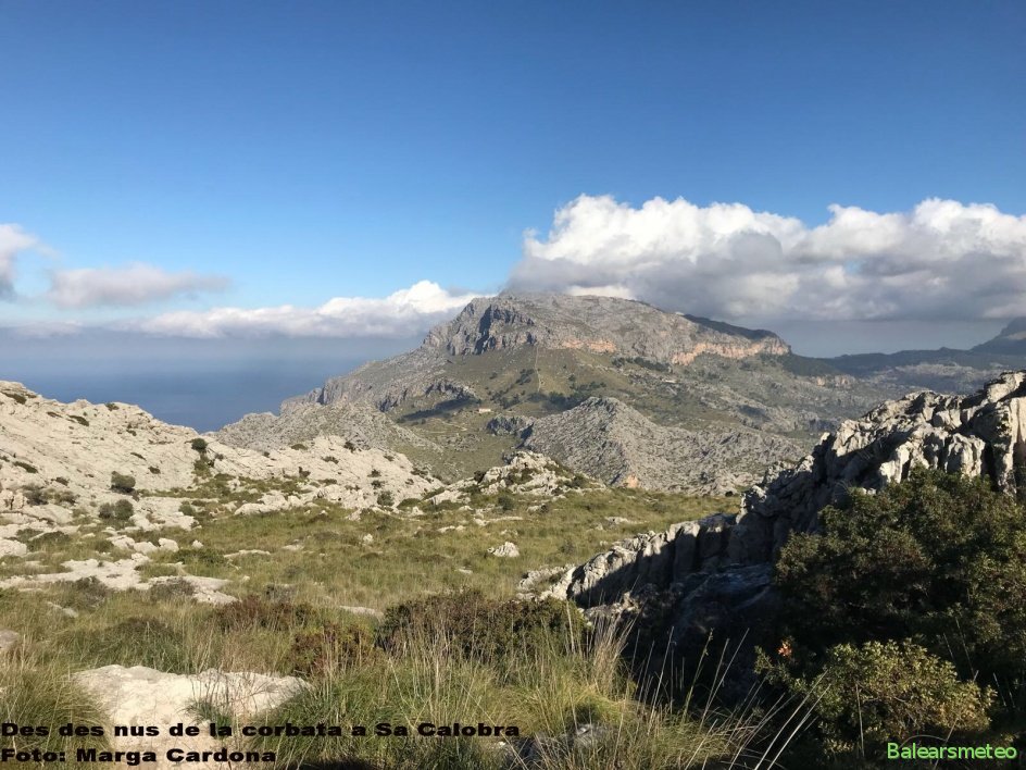 Des des nus de sa corbata, a Sa Calobra